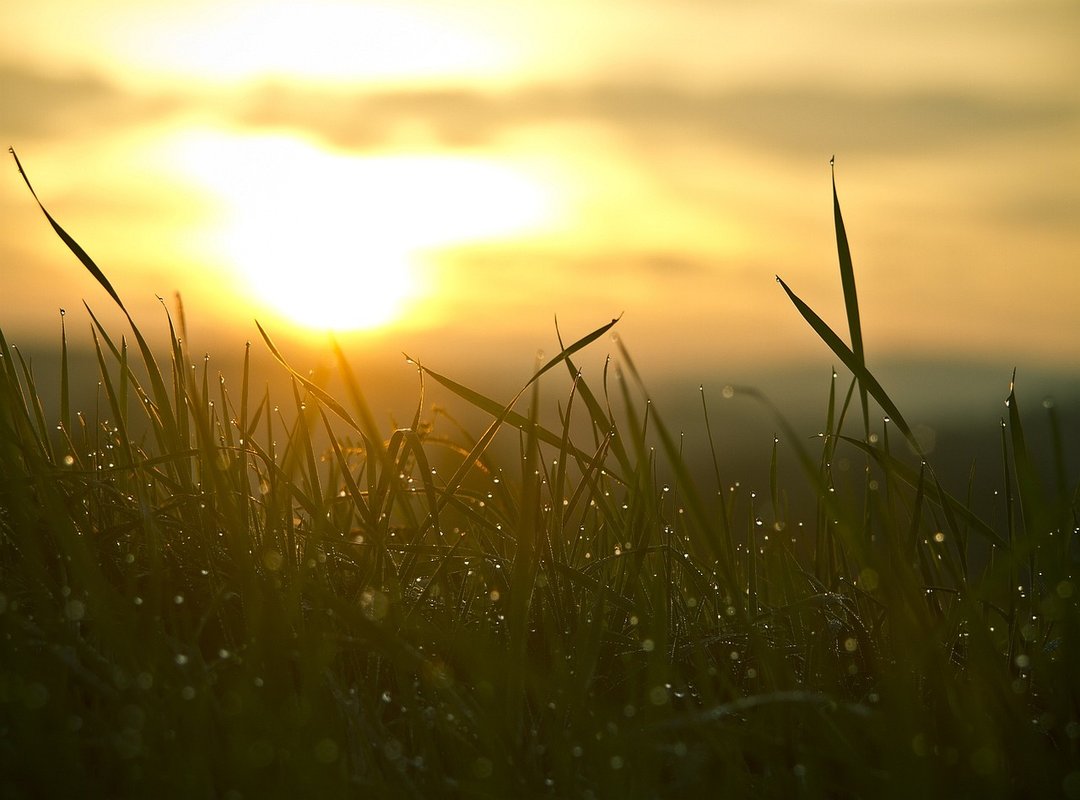Embracing Your New Beginning