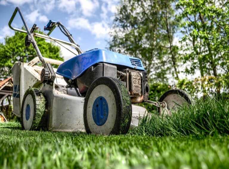 essential garden tools