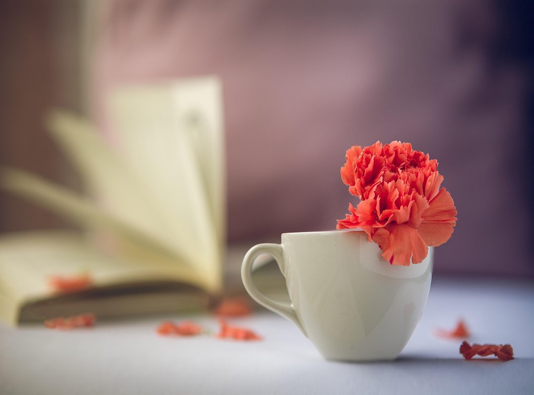 Your Ultimate Guide to Finding the Perfect Morning GIF