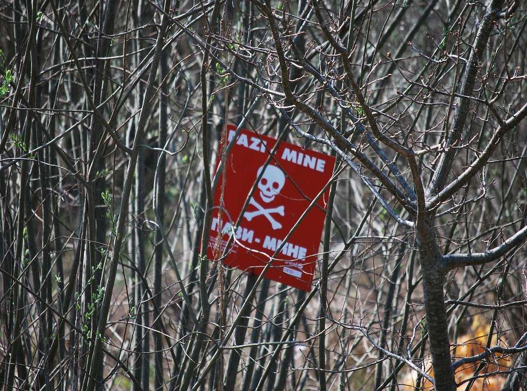 The Ethical Minefield of Viewing Real-Life Tragedies